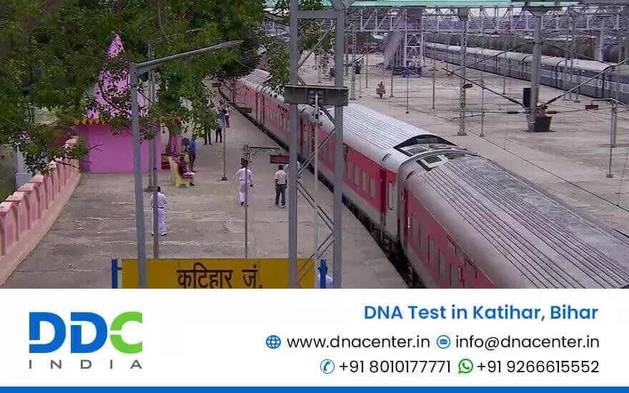 DNA Test in Katihar