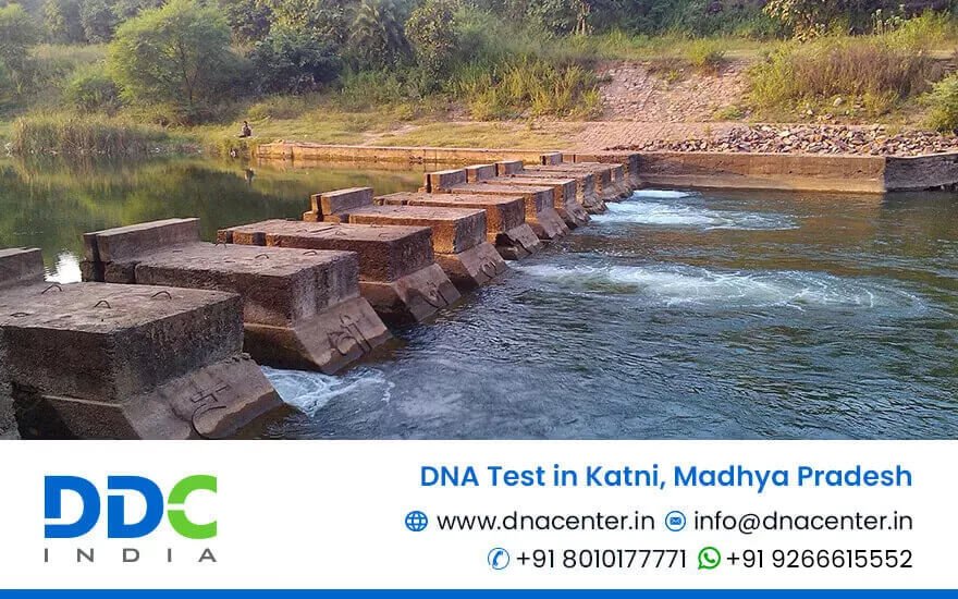 DNA Test in Katni