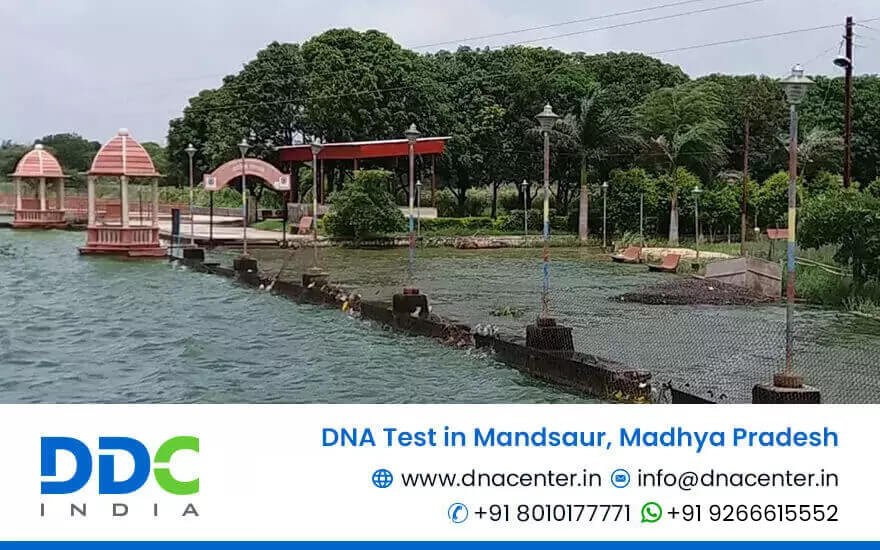 DNA Test in Mandsaur