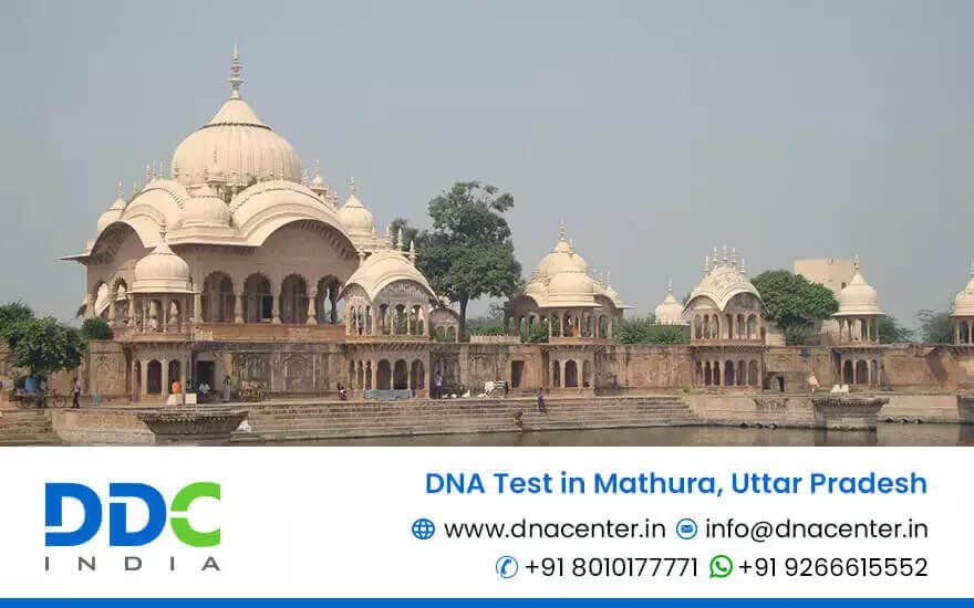 DNA Test in Mathura