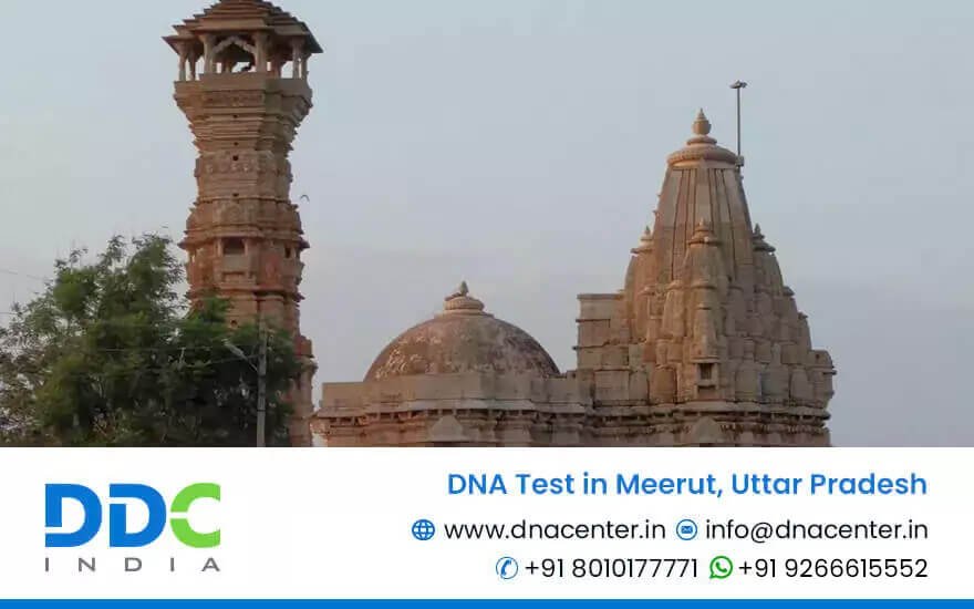 DNA Test in Meerut
