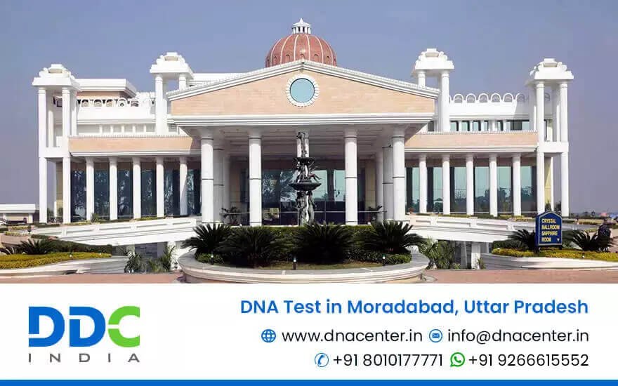 DNA Test in Moradabad
