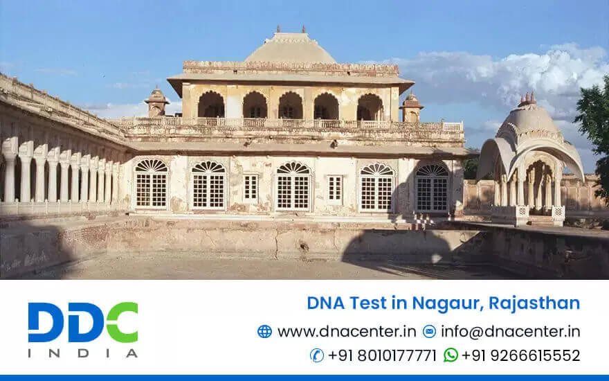 DNA Test in Nagaur