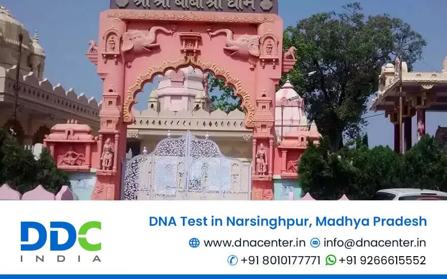 DNA Test in Narsinghpur