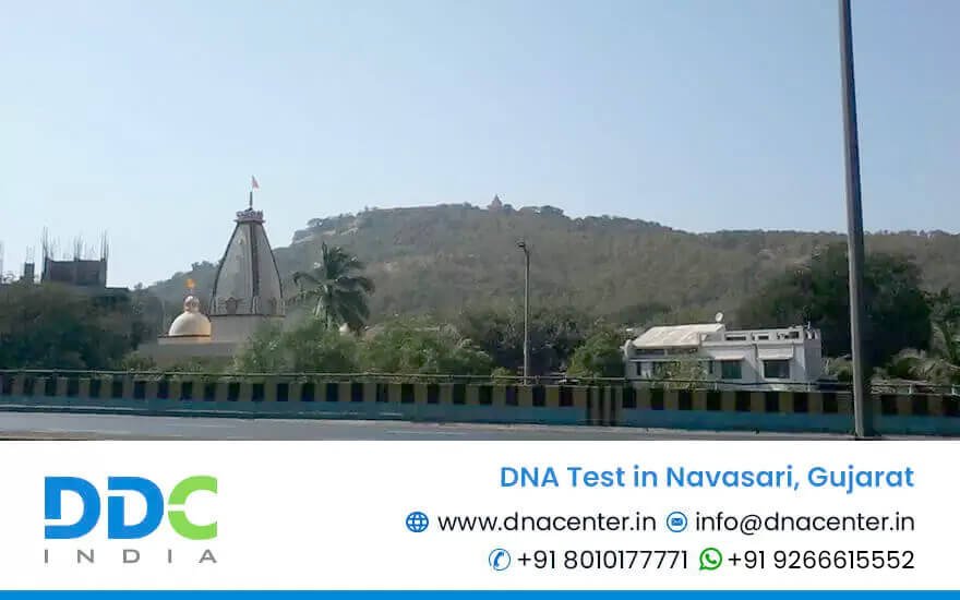 DNA Test in Navasari