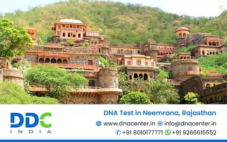 DNA Test in Neemrana