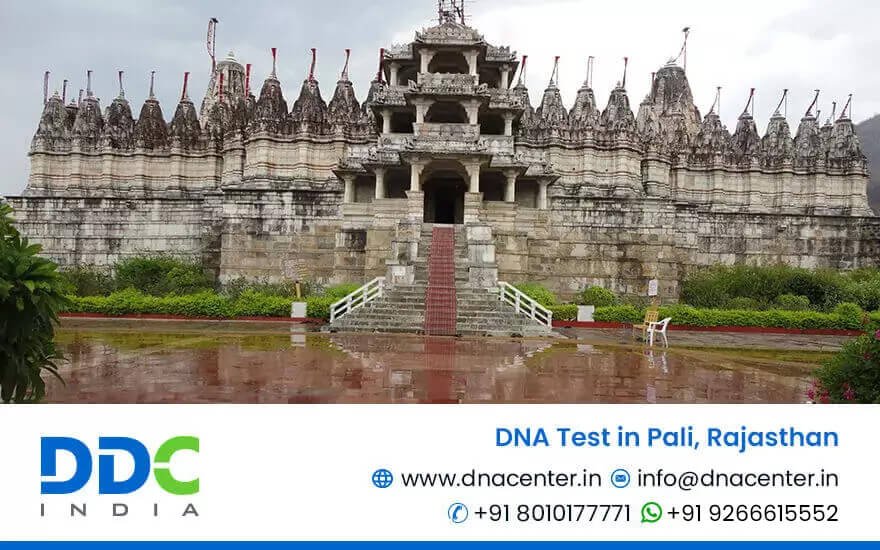 DNA Test in Pali