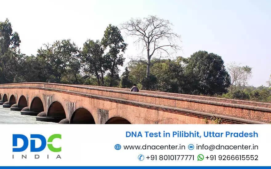 DNA Test in Pilibhit
