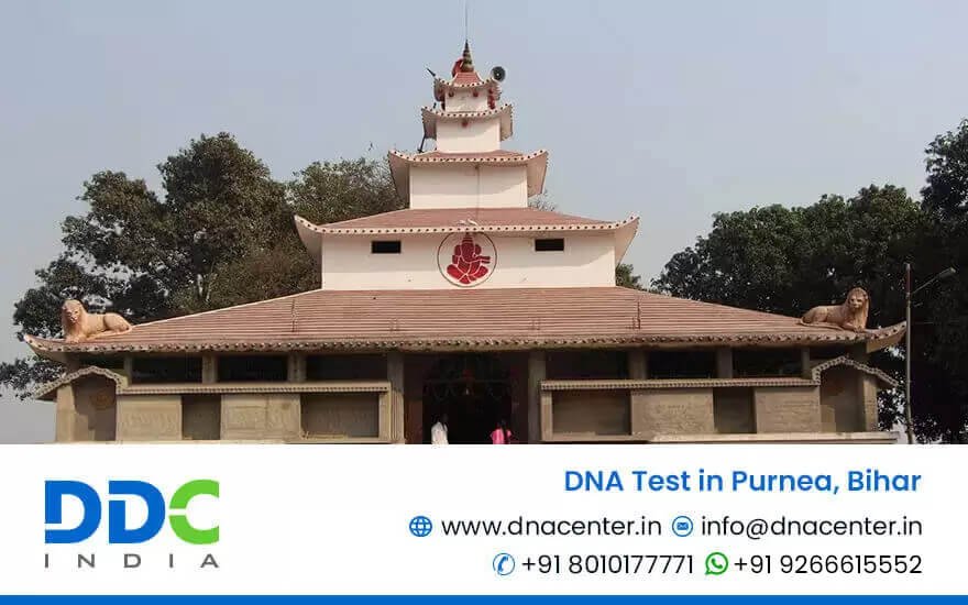 DNA Test in Purnea