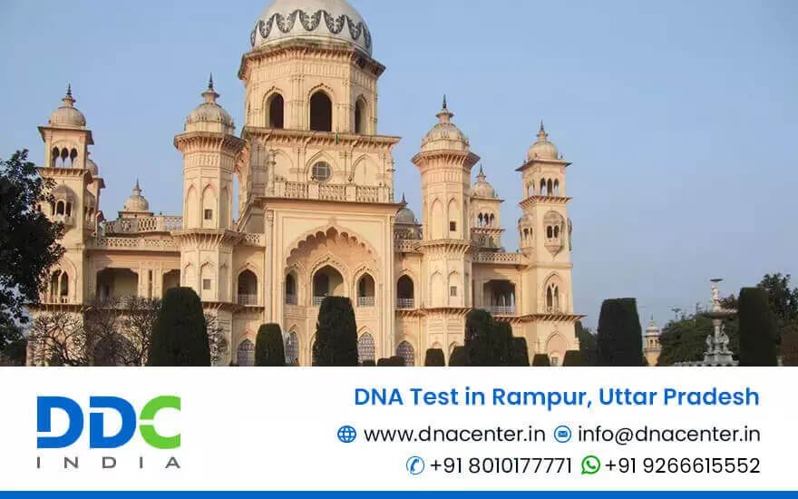 DNA Test in Rampur