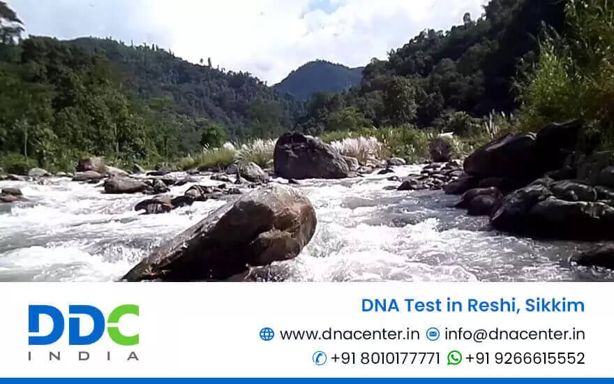 DNA Test in Reshi