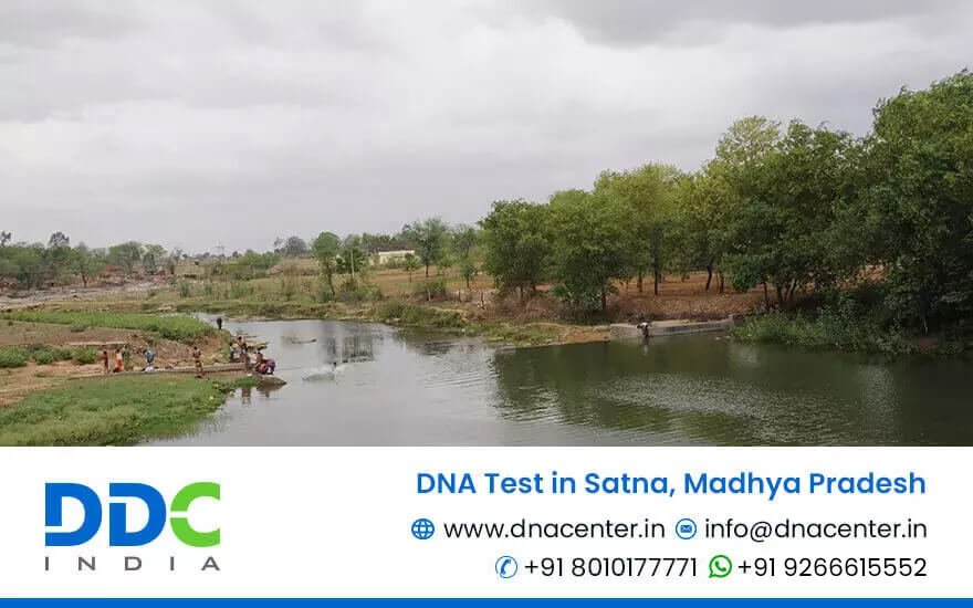 DNA Test in Satna