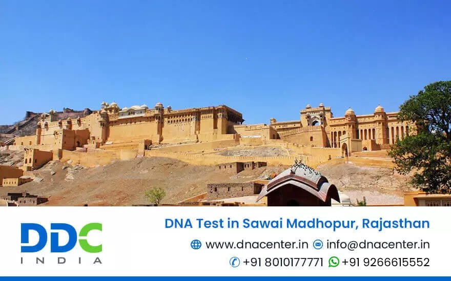 DNA Test in Sawai Madhopur