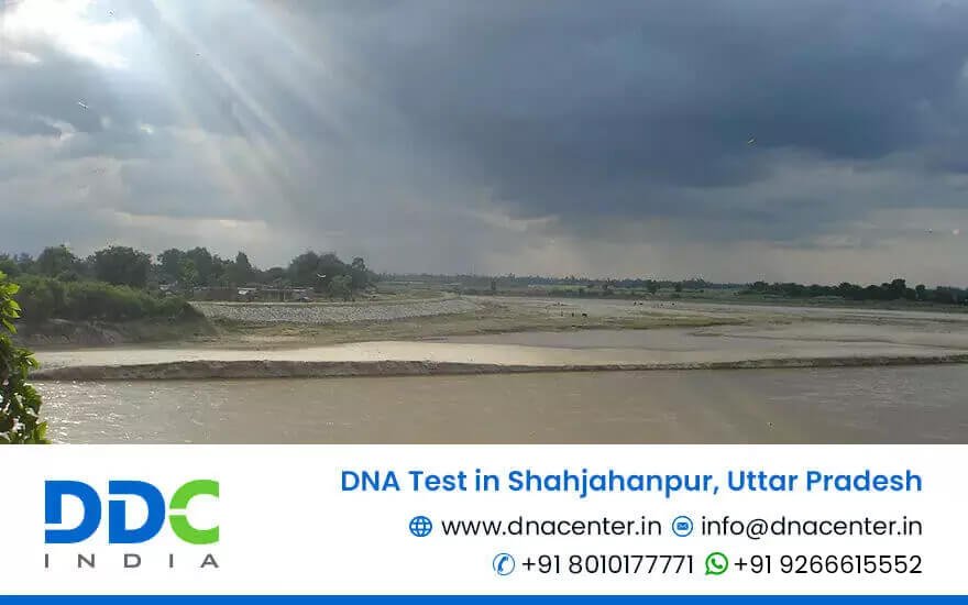 DNA Test in Shahjahanpur