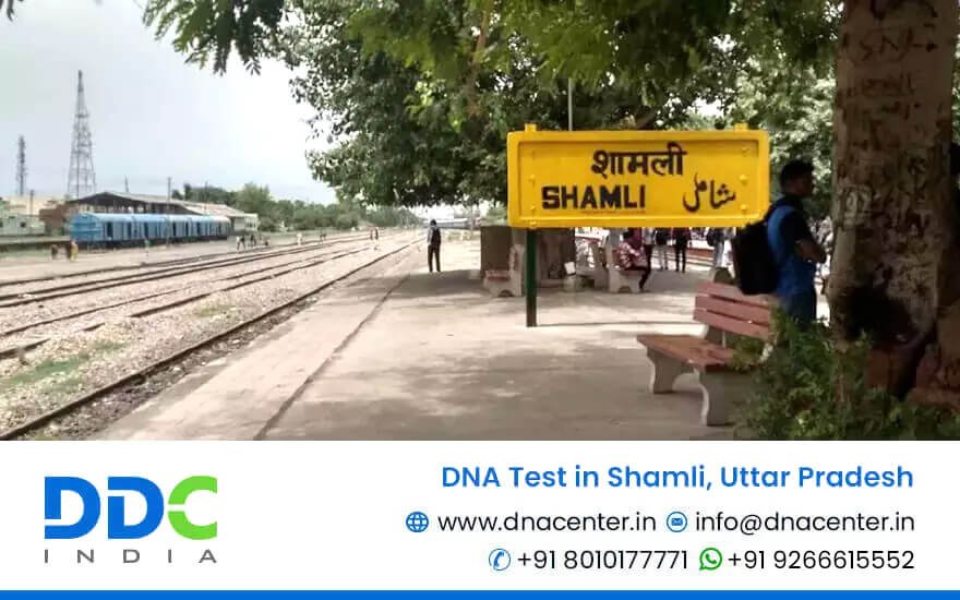DNA Test in Shamli