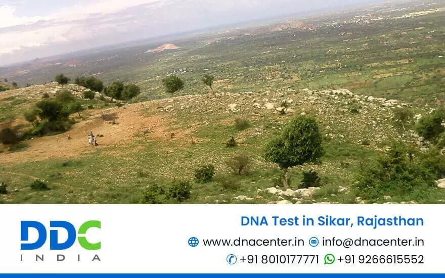 DNA Test in Sikar