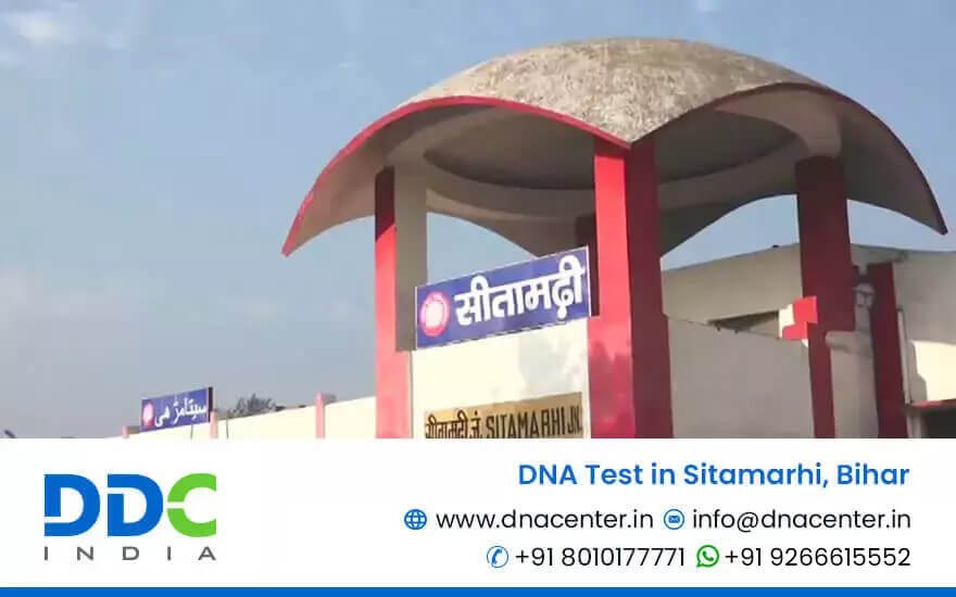 DNA Test in Sitamarhi