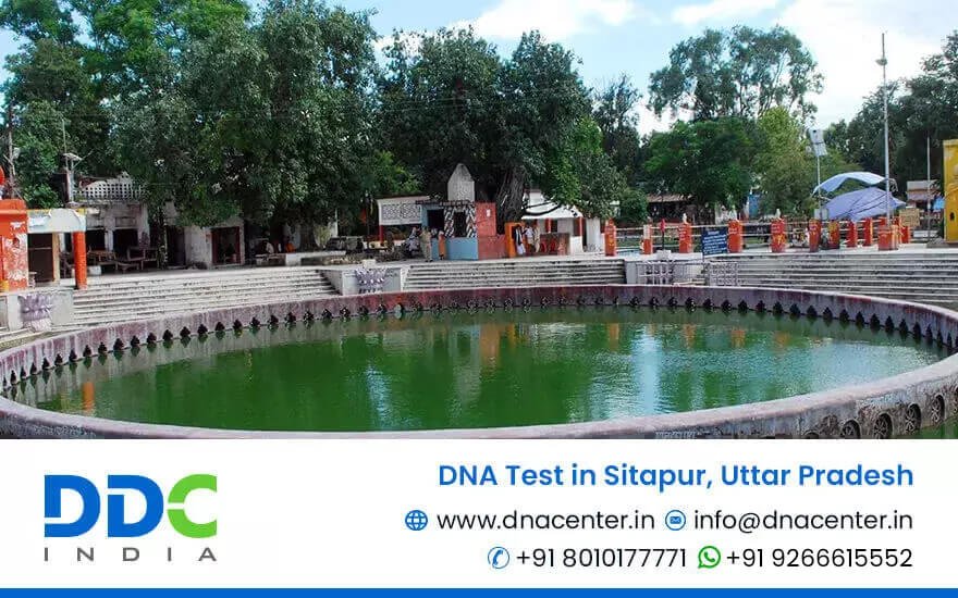 DNA Test in Sitapur