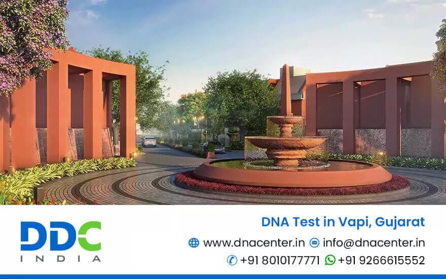 DNA Test in Vapi
