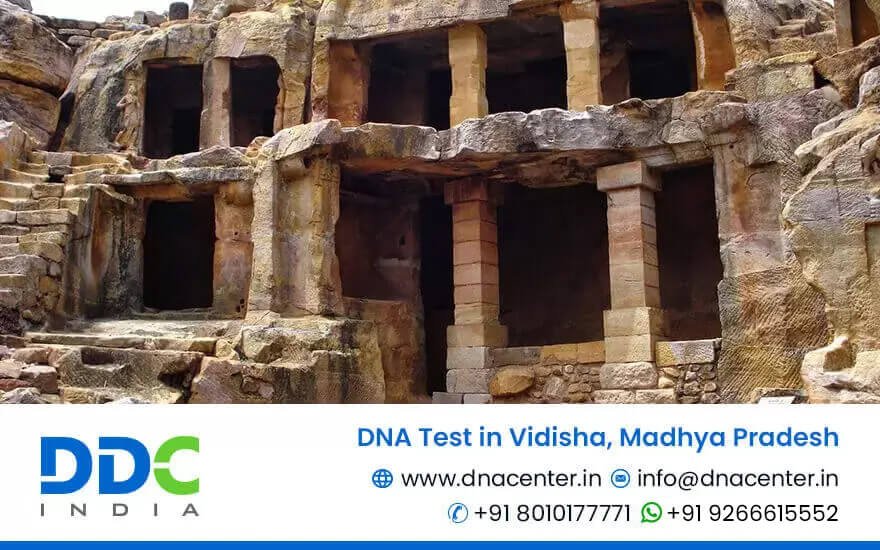 DNA Test in Vidisha