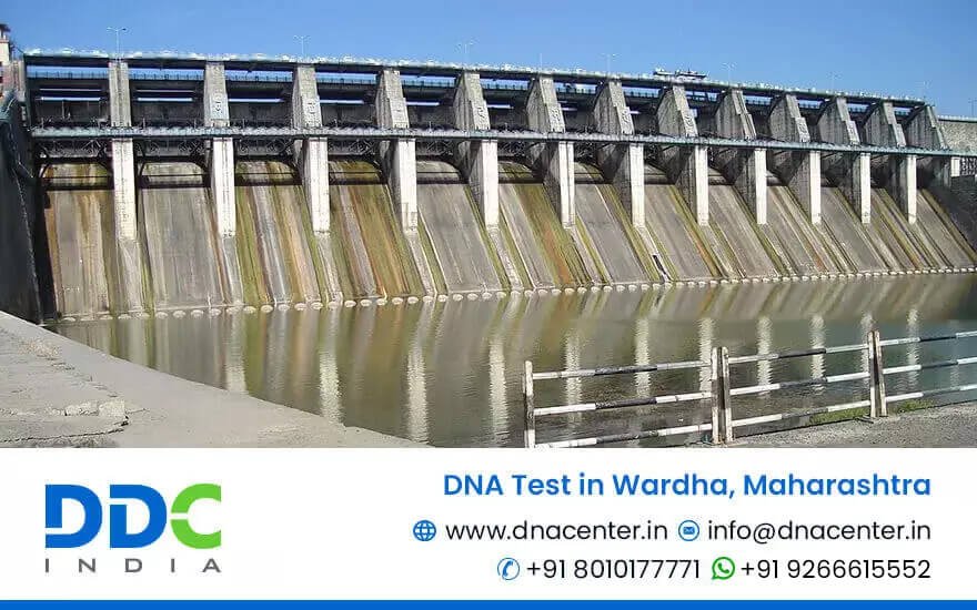 DNA Test in Wardha