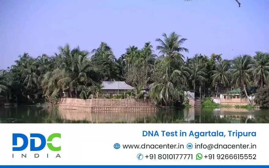 DNA Test in Agartala