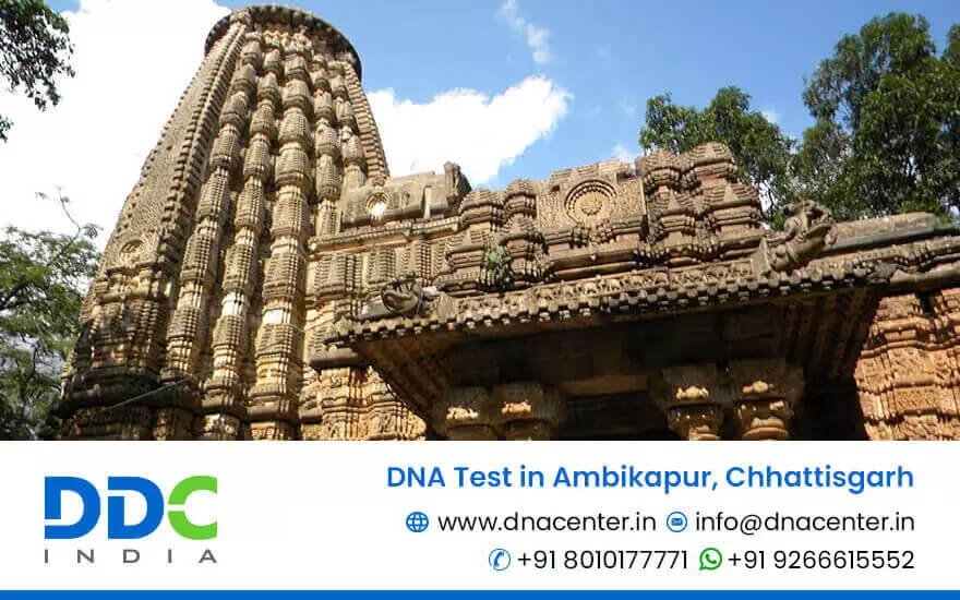 DNA Test in Ambikapur