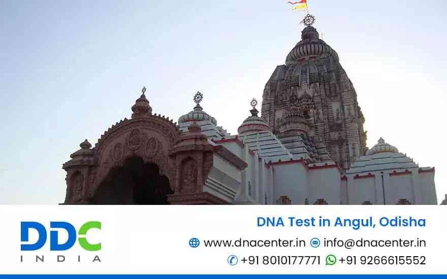 DNA Test in Angul