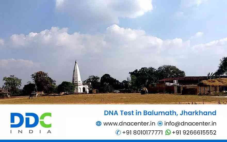 DNA Test in Balumath
