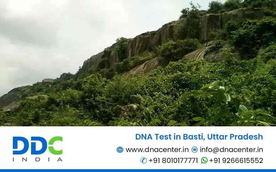 DNA Test in Basti