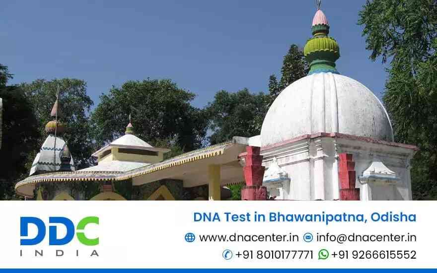 DNA Test in Bhawanipatna