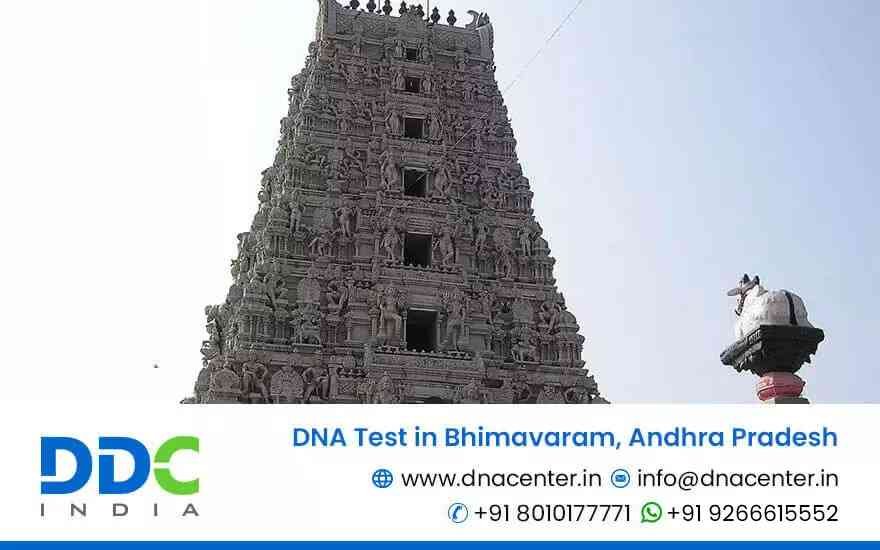 DNA Test in Bhimavaram