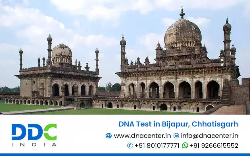 DNA Test in Bijapur
