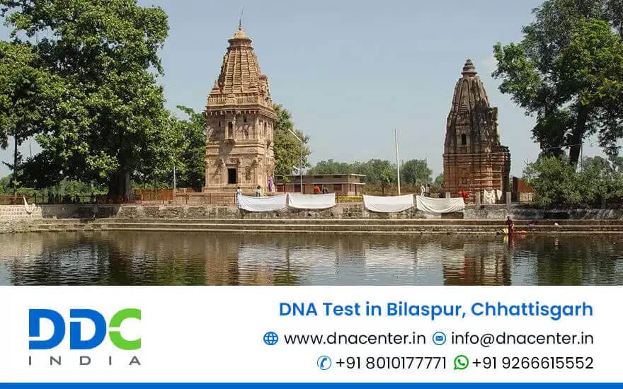 DNA Test in Bilaspur