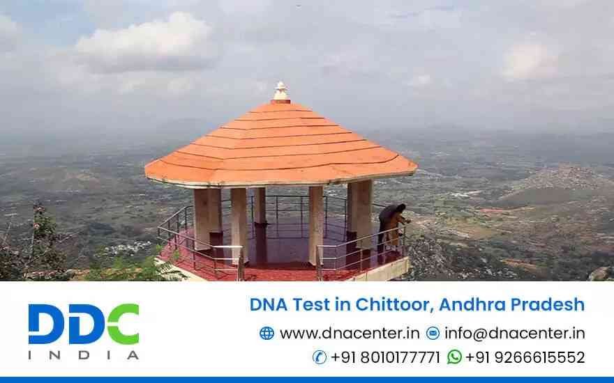 DNA Test in Chittoor