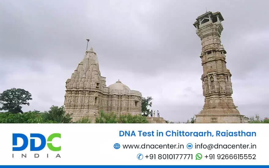 DNA Test in Chittorgarh