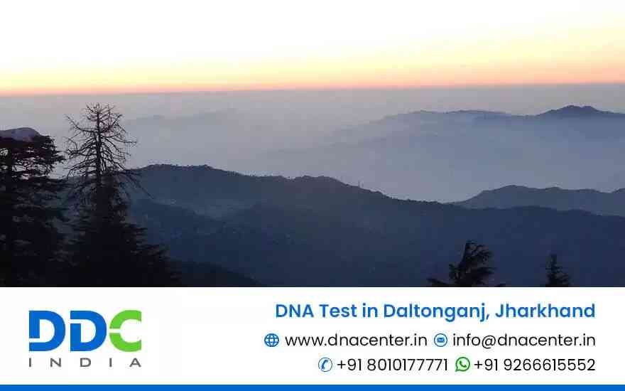 DNA Test in Daltonganj