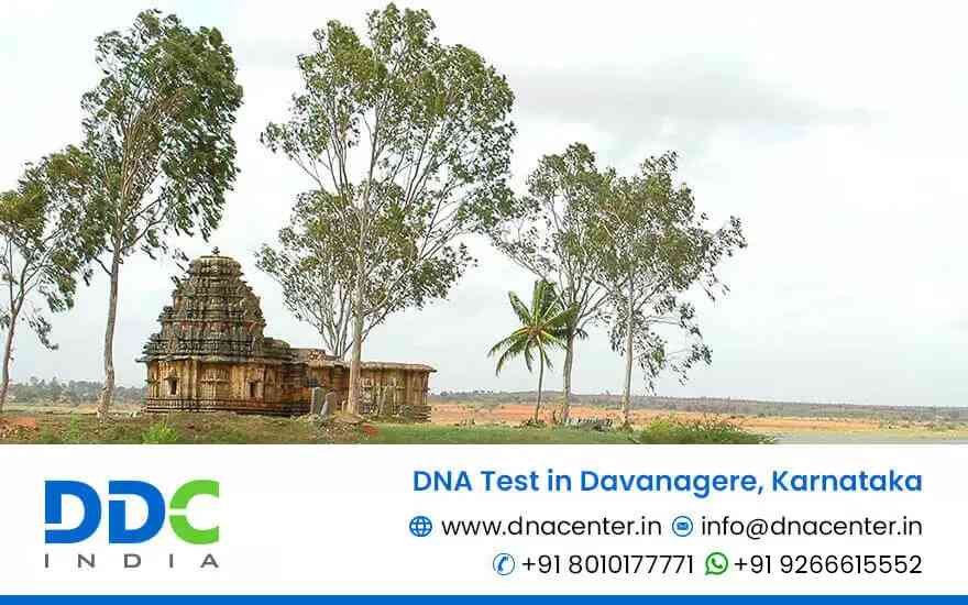 DNA Test in Davanagere