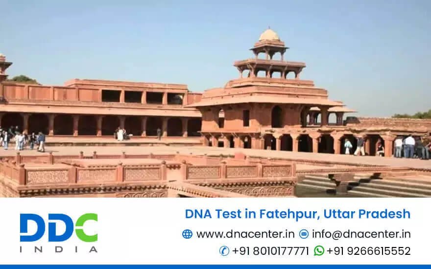 DNA Test in Fatehpur