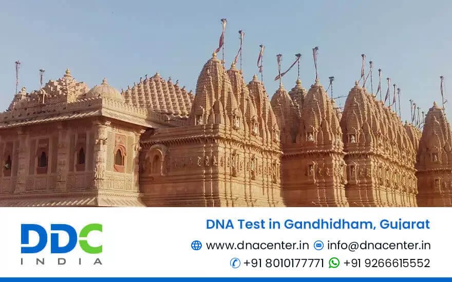 DNA Test in Gandhidham