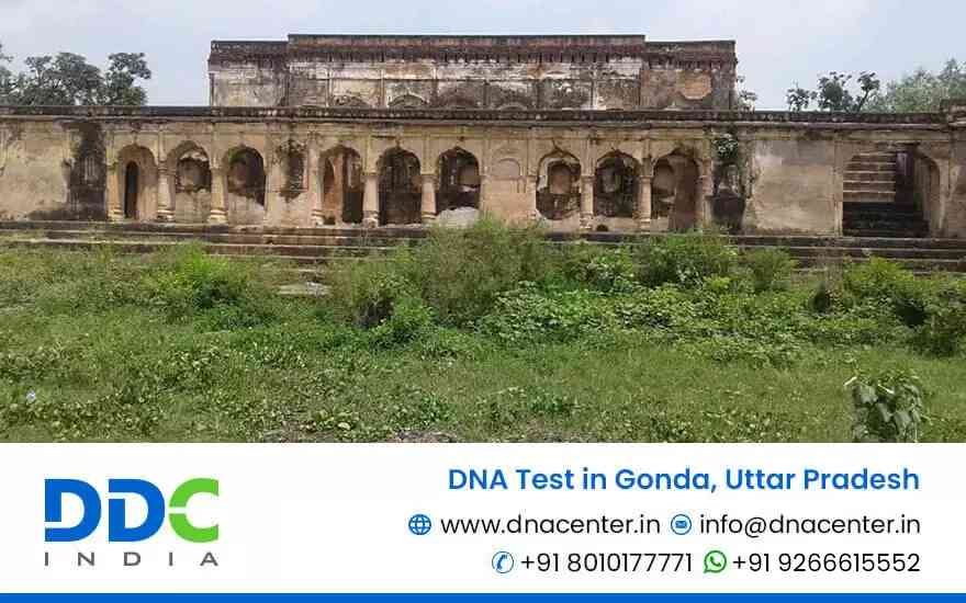 DNA Test in Gonda