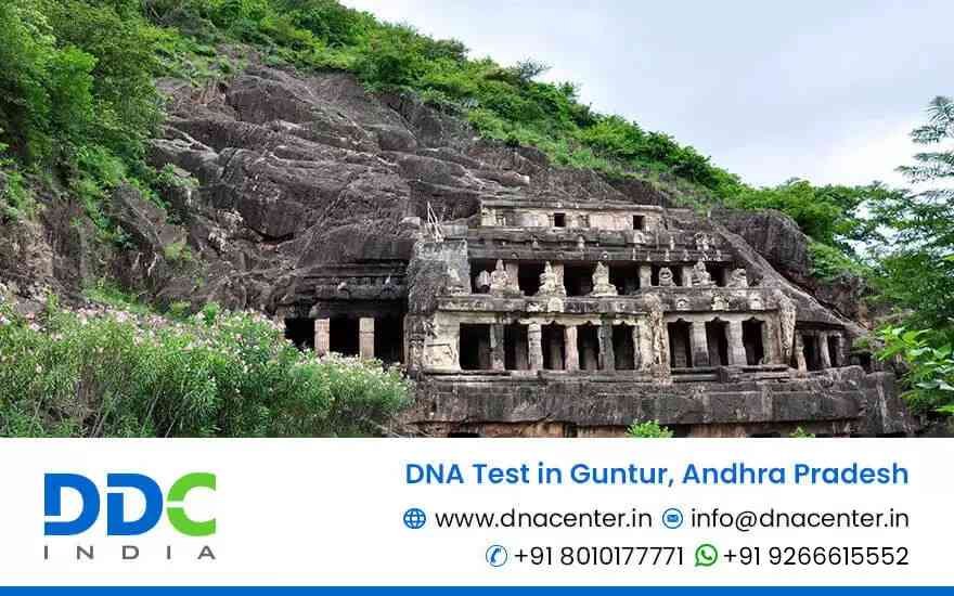 DNA Test in Guntur