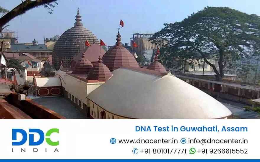 DNA Test in Guwahati