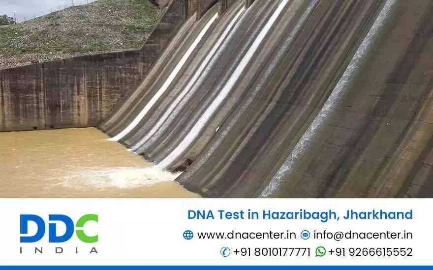 DNA Test in Hazaribagh