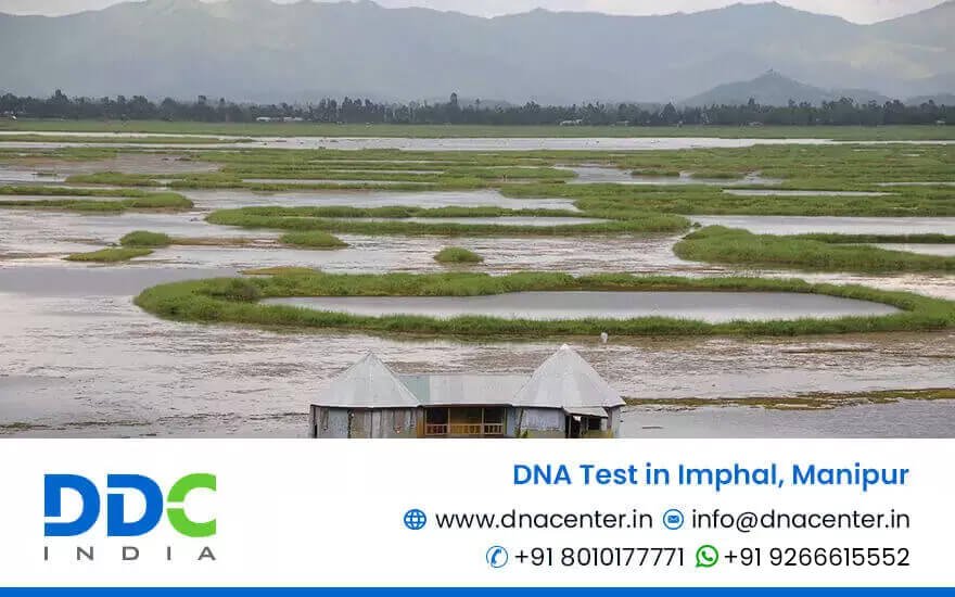 DNA Test in Imphal