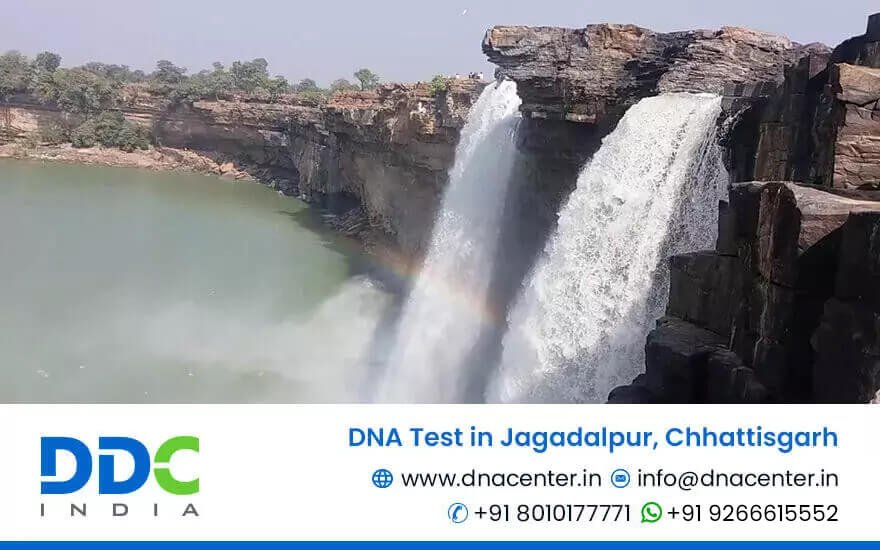 DNA Test in Jagdalpur