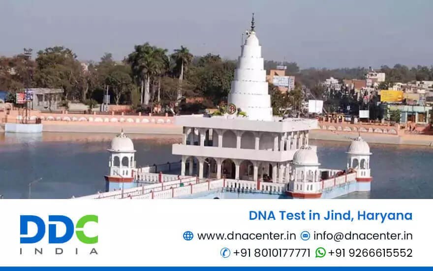 DNA Test in Jind