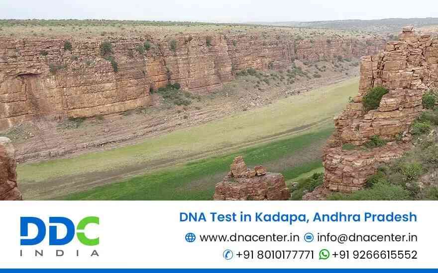 DNA Test in Kadapa