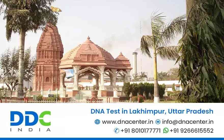 DNA Test in Lakhimpur