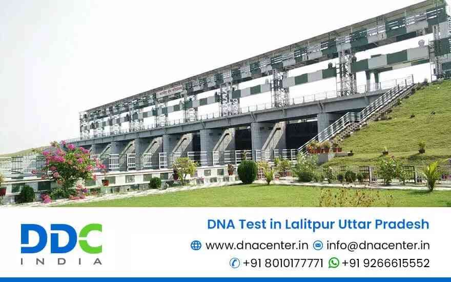 DNA Test in Lalitpur